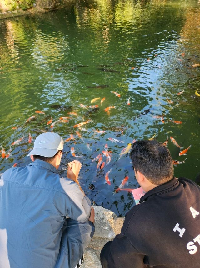 🌼남원 방문시 필수코스!!!! 산책하기 좋은 "광한루원"