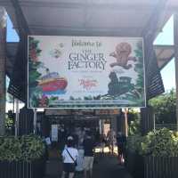 Have you seen a ginger ThemePark ?