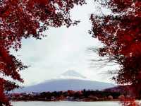 Autumn foliage at Fuji Kawaguchiko