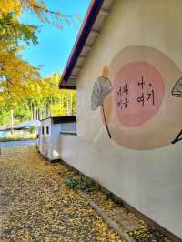 올해 역대급이었던 경주 도리마을 은행나무숲✨️