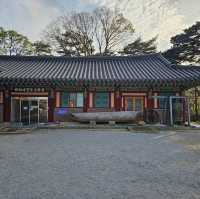 The Beauty of Bogyeongsa Temple 