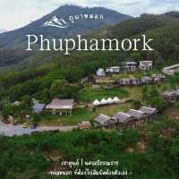 ภูผาหมอก เขาศูนย์แคมป์ ฉวาง