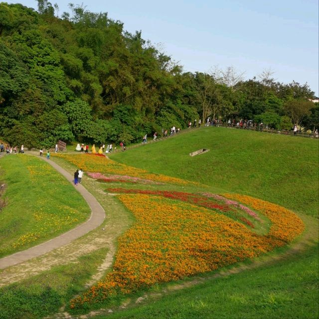 花開正好-大溝溪生態治水園區