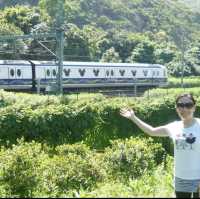休閒好去處：樹蔭下野餐、單車環遊人工湖