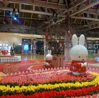 City Plaza × Miffy 花兔賀新春