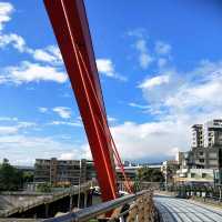 Feel the Love on the Rainbow Bridge