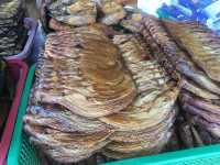 ล่องเรือสะแกกรัง