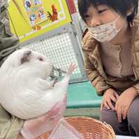 ふれあい広場〜野毛山動物園〜