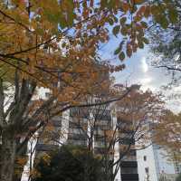 名古屋城市中綠洲 下園公園