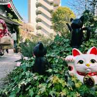 招財貓的發源地：淺草「今戶神社」無論是單身或是戀愛升溫也要一段好姻緣吧！