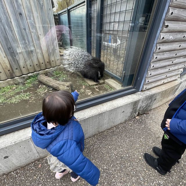 東京親子行程推介🎉上野動物園