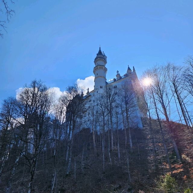 Neuschwanstein CASTLE