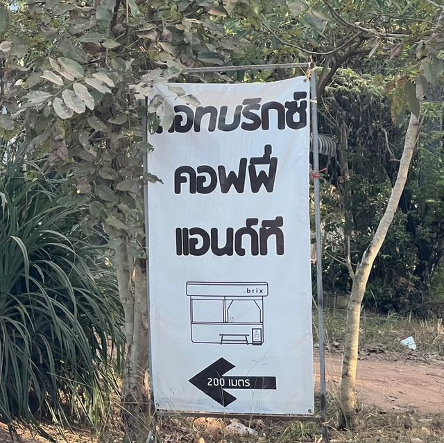 🌿☕️หลบร้อนมาทานกาแฟกลางป่า🌳🌿