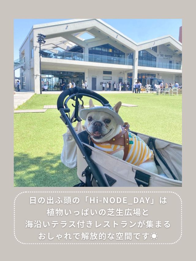 【東京･竹芝】海沿いのおしゃれカフェ🕊️