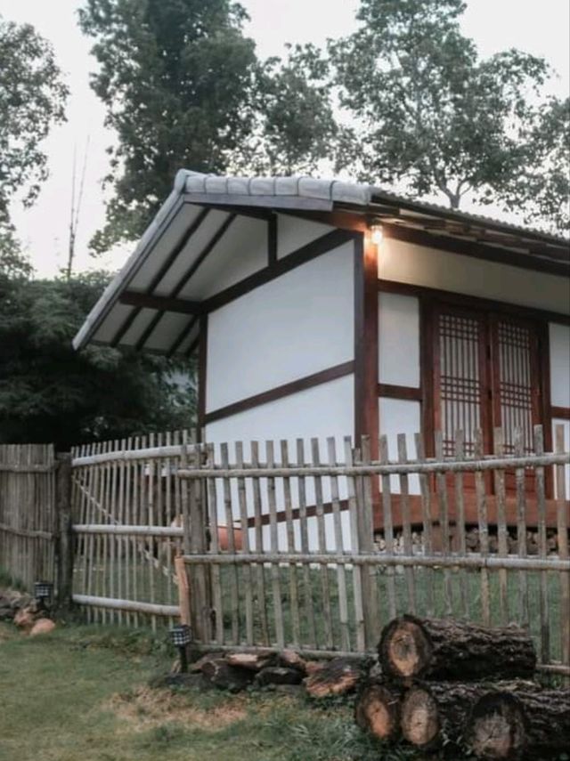 ยกเกาหลีมาไว้ที่เชียงใหม่ 