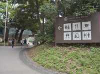 明治神宮「原宿駅から徒歩数分」
