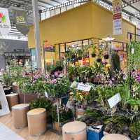งานOlive in your backyard @theninetiwanon