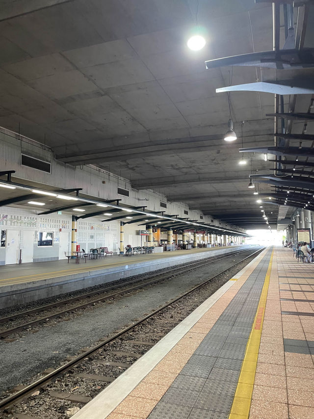 【世界の車窓から】キュランダ鉄道やコアラお触りで自然満喫🐨🌿