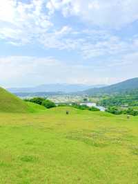 드넓은 초록빛, 창녕 교동 고분군🌿