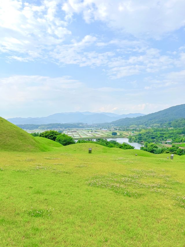 드넓은 초록빛, 창녕 교동 고분군🌿