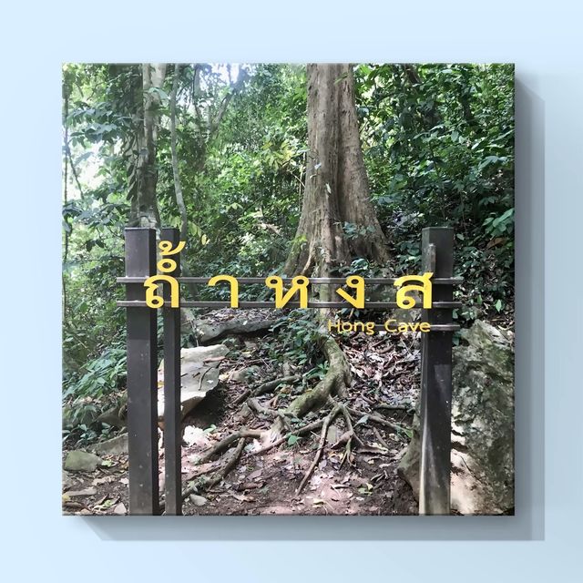 ถ้ำหงส์ นบพิตำ นครศรีธรรมราช