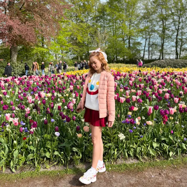 สวนเคอเคนฮอฟ Keukenhof #2