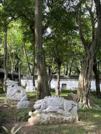 好值得細心閱覽嘅九龍寨城公園