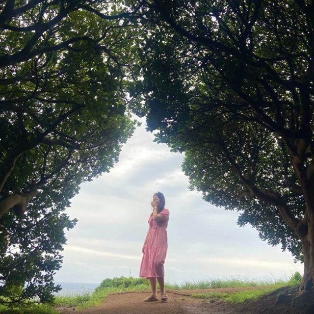 제주 산착하기 좋은 무지개 해안도로와 도두봉 키세스존 💛