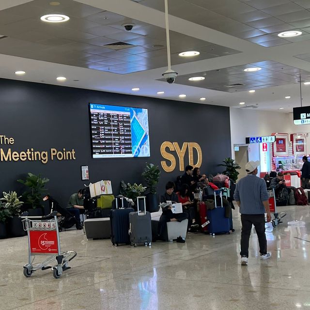 Sydney Airport Meeting Point and Train Travel