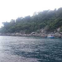Snorkeling in Tioman Island