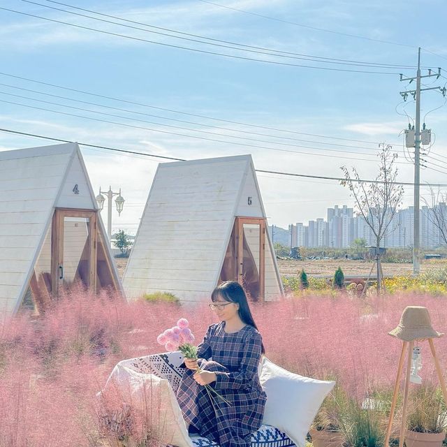 핑크빛 가을로 가득 물든 카페 토성마을🩷