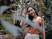 Little Tree Garden คาเฟ่นครปฐม