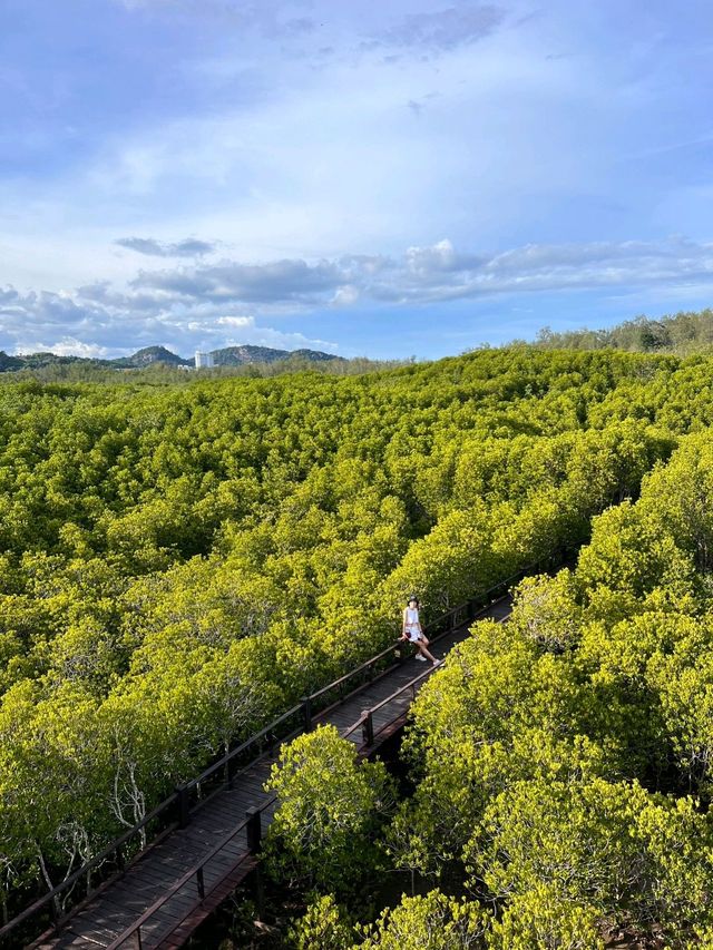 วนอุทยาน​ปราณบุรี​ แนบชิดธรรมชาติ​