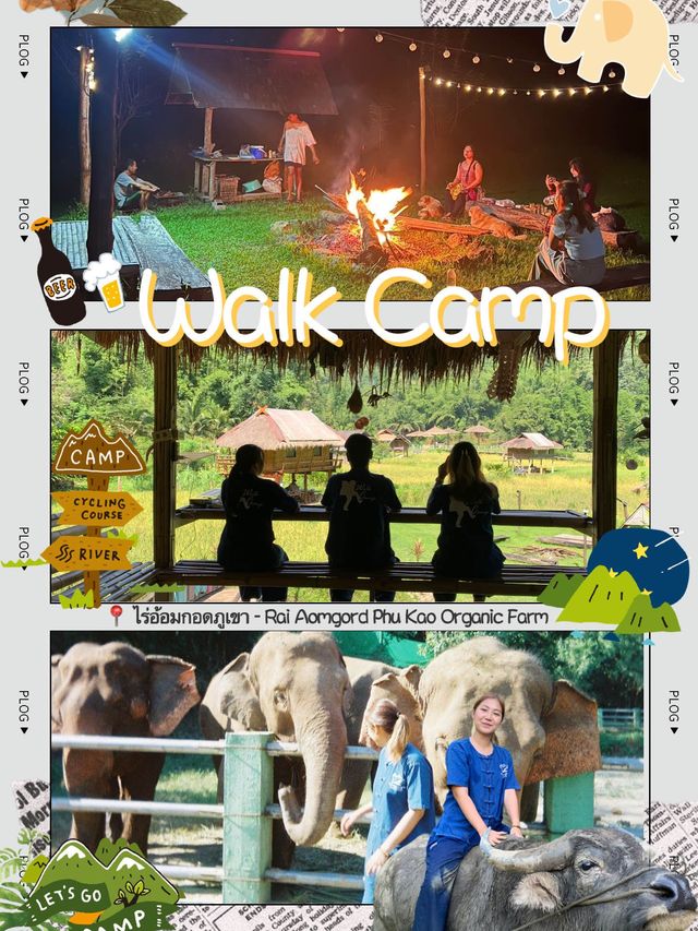 ย้อนเวลาไปเข้าแคมป์เลี้ยงช้างที่เชียงใหม่🐘
