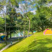 ปลาวาฬหลงทาง บรรยากาศดีมากกกก~ 🌳🍃