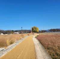 우리나라의 멋진 역사를 자랑하는 경주 명소, 첨성대 📷