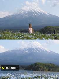 富士山とネモフィラおすすめスポット2選！