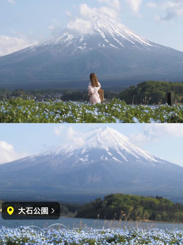 富士山とネモフィラおすすめスポット2選！