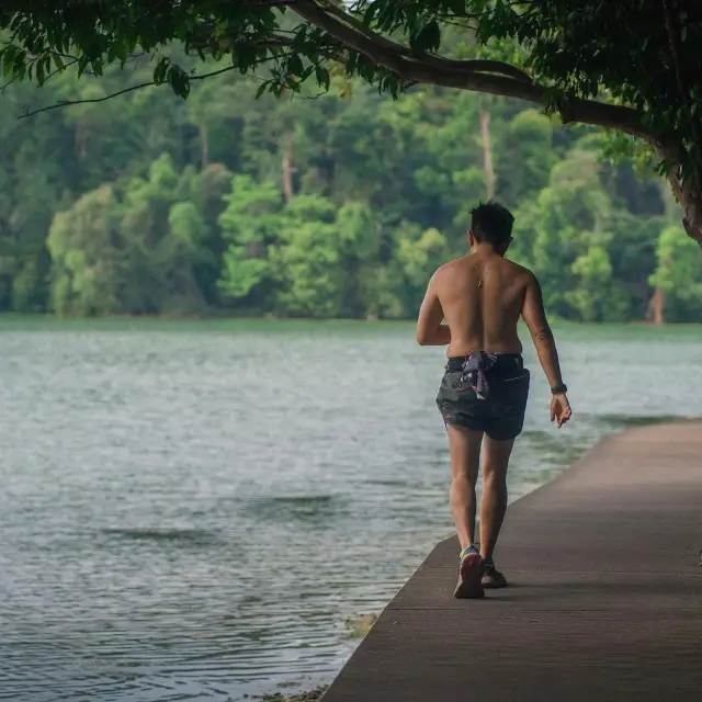 🚶🏻 MacRitchie Nature Trail 🌳 🇸🇬