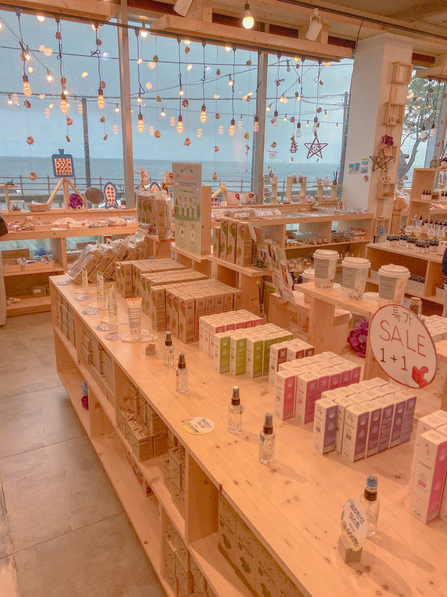 제주 바다 앞🌊 실내 데이트 즐기기 좋은 코스⭐️