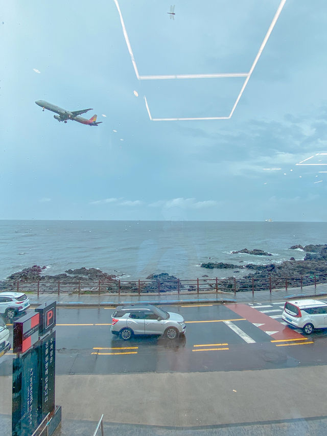 제주 바다 앞🌊 실내 데이트 즐기기 좋은 코스⭐️