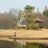 【大灣區】固橋公園：寧靜花園，適合散步和休憩