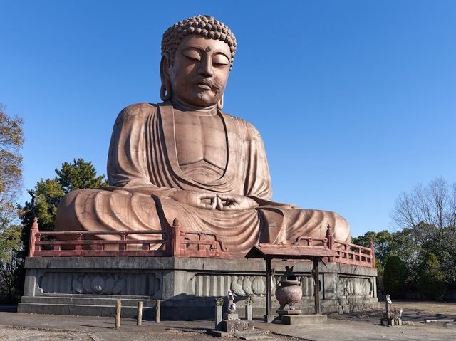 「東海市聚樂園大佛」- 紀念昭和天皇成婚的象徵，享受溫泉、美食和日式庭園的一整天樂趣