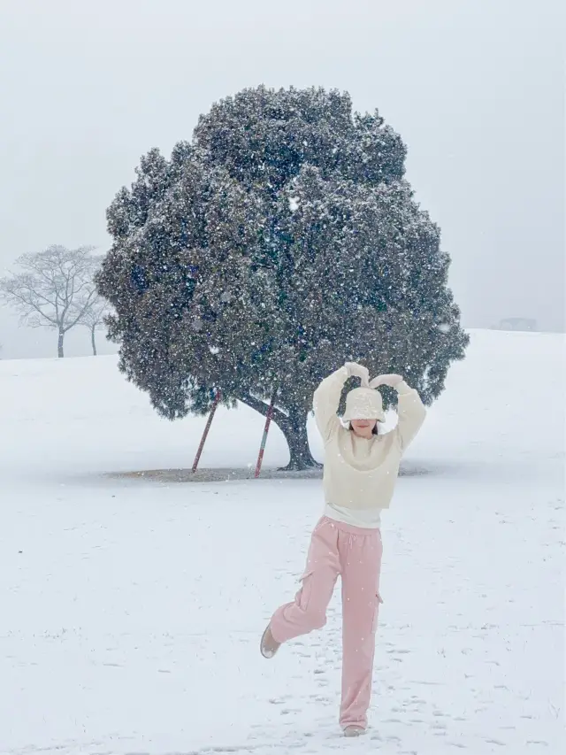 눈 올땐 삿포로 부럽지 않은 서울 올림픽공원🩵❄️