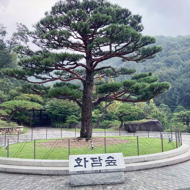 한국에서 가장 아름다운 숲 중의 한 곳, 곤지암 화담숲!