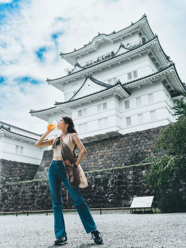 【神奈川県/小田原】意外と楽しめる小田原城🏯行ってみない？