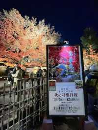 京都景點｜嵐山寶嚴院之夜楓