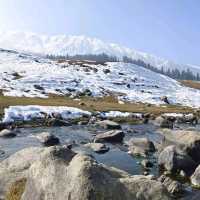 Strawberry Valley 🌸 Kashmir