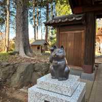 🇯🇵東京最新打卡點：豪德寺⛩️ 打卡招財貓大爆發🐱🤑