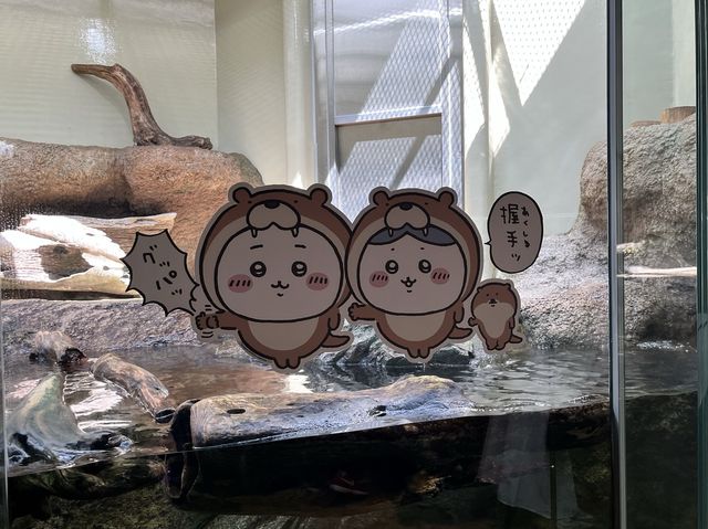 【仙台うみの杜水族館】水族館とちいかわ